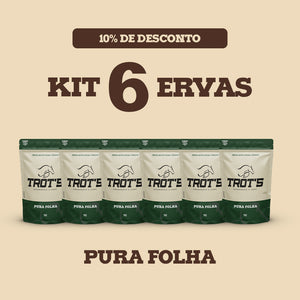 Kit 6 Ervas Pura Folha
