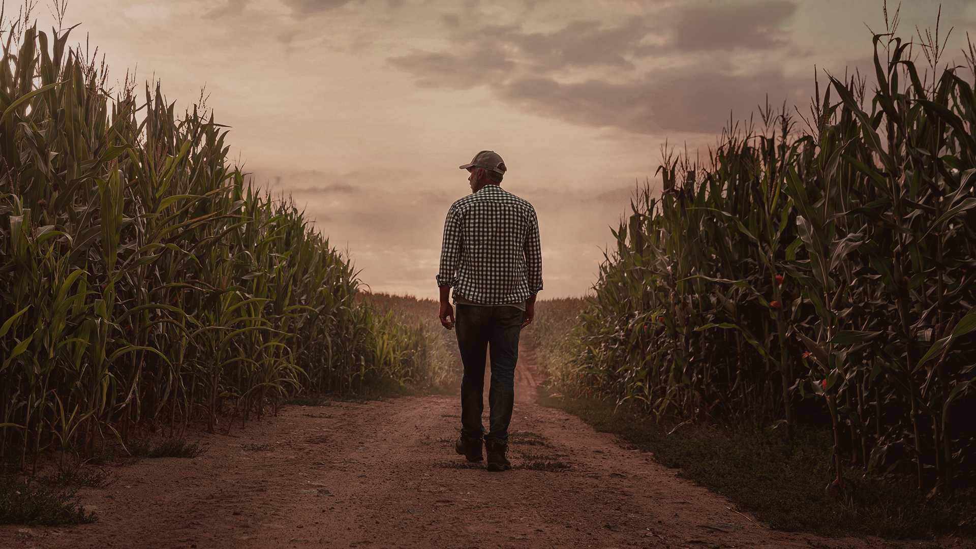 Experimente o Campo: a nova fase da TROT’S começa com raízes ainda mais fortes